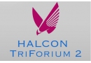 Halcon