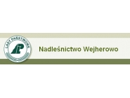 Nadleśnictwo Wejherowo: ochrona lasów państwowych, sprzedaż drewna, gospodarka leśna, sprzedaż choinek