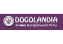 Dogolandia: strzyżenie psa, kąpiel psa, salon dla psów, sklep dla psów Legionowo
