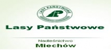 Nadleśnictwo Miechów: ochrona lasów państwowych, sprzedaż drewna i sadzonek, gospodarka leśna