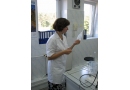 Akredytowane Laboratorium Badawcze: ekspertyzy mykologiczne Ostrzeszów