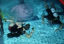 AquaPark Granit: nauka pływania niemowląt, kursy nurkowania, basen rekreacyjny, hydromasaż, rehabilitacje NFZ Strzelin