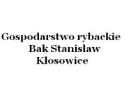 Gospodarstwo rybackie Bak S.: hodowla i połów ryb, sprzedaż ryb hodowlanych, hodowla karpi, sandacz i węgorze, tołpyga Kłosowice, Wielkopolskie