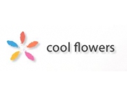 Cool Flowers Ożarów Mazowiecki: import sztucznej roślinności, roślinność sztuczna, kwiaty sztuczne, import kwiatów sztucznych, artykuły dekoracyjne