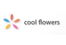 Cool Flowers Ożarów Mazowiecki: import sztucznej roślinności, roślinność sztuczna, kwiaty sztuczne, import kwiatów sztucznych, artykuły dekoracyjne