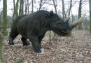 Pracownia Plastyczna K. Kuchnio Nowiny Wielkie: budowa modeli z żywicy poliestrowej, modele dinozaurów z włókna szklanego, eksponaty dinozaurów