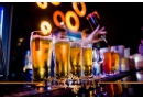 Baccarat Music Club Kraków: organizacja imprez okolicznościowych, VIP Room, wieczory panieńskie i kawalerskie, organizacja imprez firmowych
