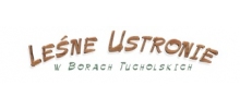 Leśne Ustronie Zamrzenica: domki drewniane, imprezy okolicznościowe, wynajem sali, wczasy nad jeziorem