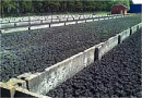 Eko-Agrotech. Probiotyki, ochrona środowiska, mikroorganizmy. Węgorzewo