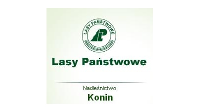 Nadleśnictwo Konin: ochrona lasów państwowych, gospodarka leśna, ochrona fauny i flory leśnej, sprzedaż drewna i sadzonek