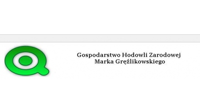 Gospodarstwo Hodowlane Marek Gręźlikowski: knurki czystorasowe, knurki mieszańcowe, loszki hodowlane czystorasowe Dobrzejewice